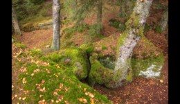 En haut du Urstein En haut du Urstein