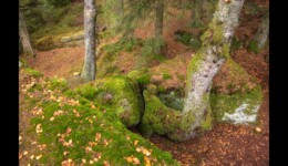 En haut du Urstein En haut du Urstein