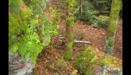 En haut du Urstein En haut du Urstein