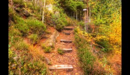 Sentier aménagé vers le Hengst Sentier aménagé vers le Hengst