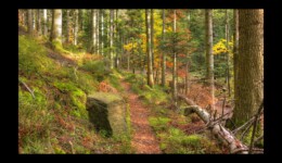 Montée vers le Hengst Montée vers le Hengst
