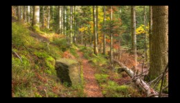 Montée vers le Hengst Montée vers le Hengst