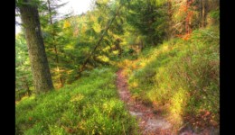 Montée vers le Hengst Montée vers le Hengst