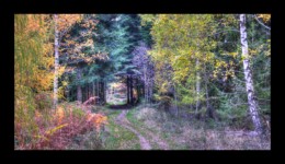 Walscheid - chemin du cimetière gallo-romain