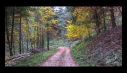 Walscheid - route forestière des 3 Saints