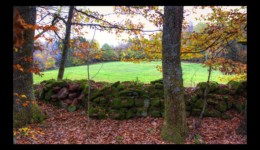 Harreberg-sous les Picards