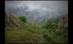 Vallon de la Bendola depuis la crête d'Anan Vallon de la Bendola depuis la crête d'Anan