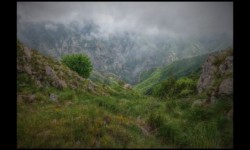 Vallon de la Bendola depuis la crête d'Anan Vallon de la Bendola depuis la crête d'Anan