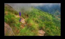 Vallon de la Bendola depuis la crête d'Anan Vallon de la Bendola depuis la crête d'Anan