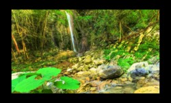 Affluent en rive gauche Bendola : Affluent en rive gauche