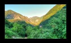 Le vallon de la Bendola Le vallon de la Bendola