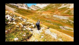Le vallon des Aiguilles Le vallon des Aiguilles