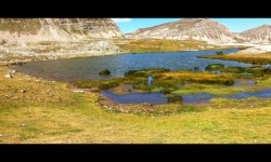 Tourbière Tourbière