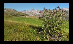 Vallon de Bressange Vallon de Bressange