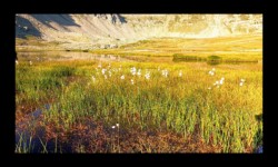 Bord du grand lac Bord du grand lac