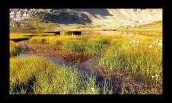 Bord du grand lac Bord du grand lac