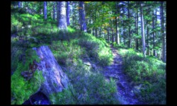 Le sentier monte vers le Hengst Le sentier monte vers le Hengst