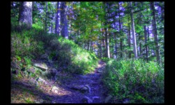 Sentier