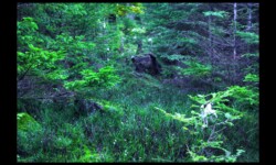 Près du Melkplatz Près du Melkplatz