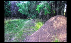 Une des nombreuses fourmilières sur le sentier des fourmis Fourmilière