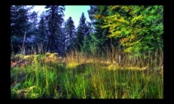 Sous le Petit Noll Sous le Petit Noll