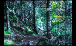 Col du Hoellenwasen Col du Hoellenwasen