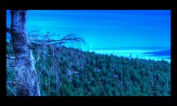 Depuis les pentes sud du Baerenberg Depuis les pentes sud du Baerenberg