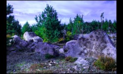 Sur le sommet du Baerenberg Sur le sommet du Baerenberg