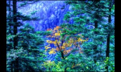 Forêt de l'Eichkopf Forêt de l'Eichkopf