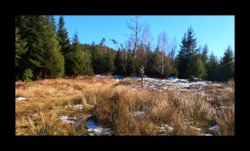 Parc aux Boeufs. sentier pour le Melkplatz Parc aux Boeufs. sentier pour le Melkplatz