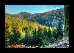 Vue vers le secteur du Grossmann Vue vers le secteur du Grossmann