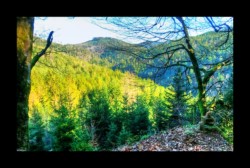 Vue vers le secteur du Grossmann Vue vers le secteur du Grossmann