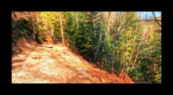 Près de l'ancienne MF du Canceley Près de l'ancienne MF du Canceley