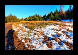 Replat au pied de la Tête du Noll Replat au pied de la Tête du Noll