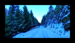 Route forestière vers le col de la Sayotte Route forestière vers le col de la Sayotte