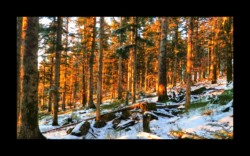 Descente du Melkplatz vers Hunerstkopf Descente du Melkplatz vers Hunerstkopf