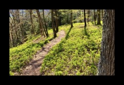 au dessus de la grotte des Bacelles Saint Quirin - au dessus de la grotte des Bacelles