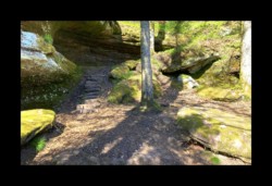 Saint Quirin - accès à la grotte des Bacelles