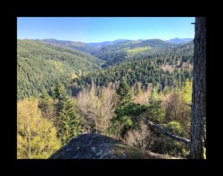 Saint Quirin - point de vue de la Belle Roche Saint Quirin - point de vue de la Belle Roche