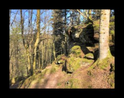 vers la grotte de la Belle Roche Saint Quirin - vers la grotte de la Belle Roche