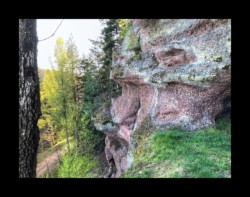 Saint Quirin - falaise de la Belle Roche Saint Quirin - falaise de la Belle Roche