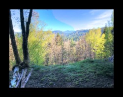 Saint Quirin - devant la grotte de la Belle Roche Saint Quirin - devant la grotte de la Belle Roche