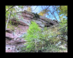 Saint Quirin - falaise de la Belle Roche Saint Quirin - falaise de la Belle Roche