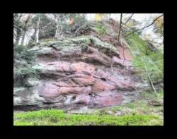 Saint Quirin - falaise de la Belle Roche Saint Quirin - falaise de la Belle Roche