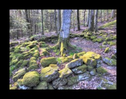 La Croix Guillaume site gallo-romain emplacement d'habitation Saint Quirin La Croix Guillaume site gallo-romain