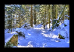 Elsassblick Walscheid : Elsassblick