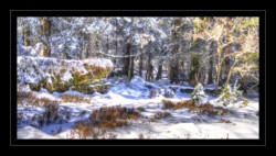 Le Grossmann Walscheid : Le Grossmann