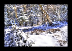 Le Grossmann Walscheid : Le Grossmann