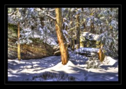 Le Grossmann Walscheid : Le Grossmann