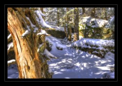 Le Grossmann Walscheid : Le Grossmann